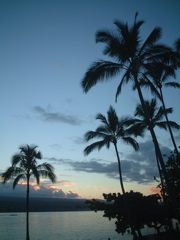 Hawaii Twilight
